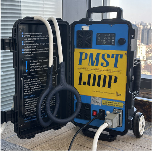 Professional pmst loop - loop, emtt