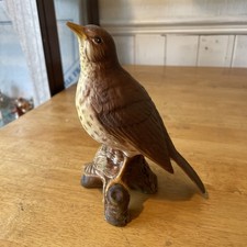 LARGE RARE COLLECTABLE FARM COUNTRYSIDE MATT BESWICK SONG THRUSH BIRD