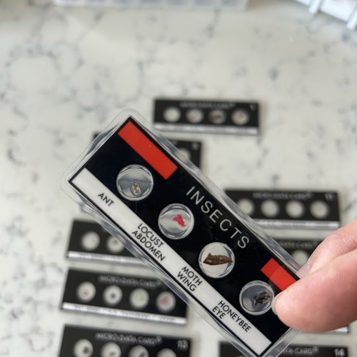 Vintage micro data - vintage, specimen