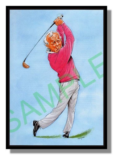 Framed picture arnold palmer - arnold,