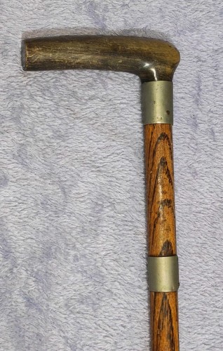 Antique edwardian horn - antique,