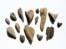 15 x Genuine Natural Driftwood Love Heart Shapes Beachcomber Gifts Beachlover