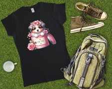 Australian Shepherd For You