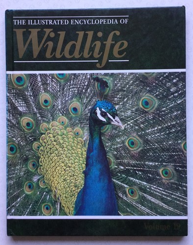 The illustrated encyclopedia - the,
