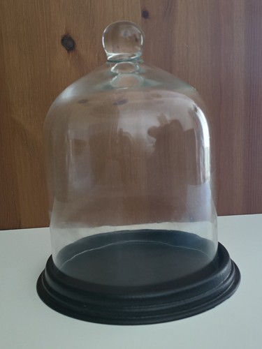 Glass cloche dome tall - cloche,