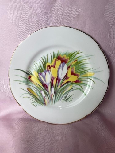 Dorchester finest bone china - dorchester,