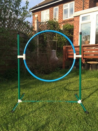 Dog agility coloured deluxe - agility,