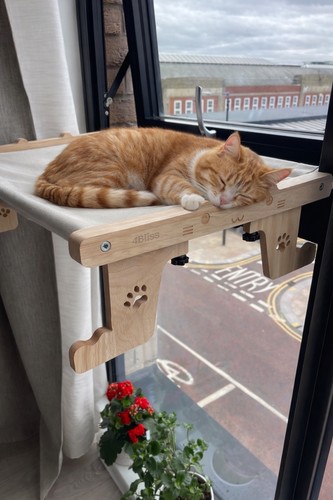 Wooden cat bed multi - wooden,