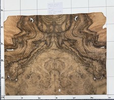 English Walnut Burr Figured
