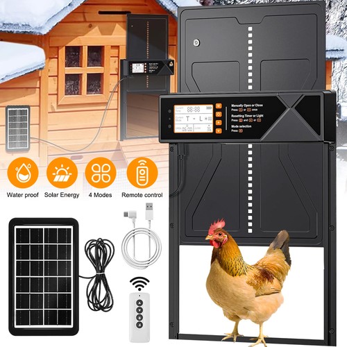 Automatic chicken coop door - chicken,