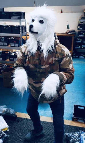 White fursuit poodle dog - white,