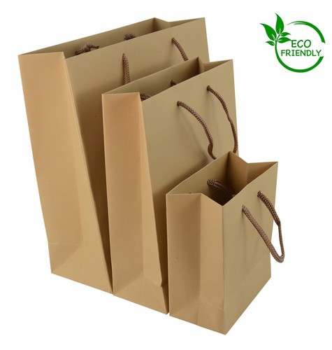 Brown paper bags - brown,