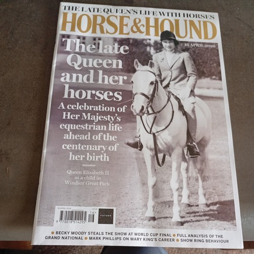 Horse and hound - horse,