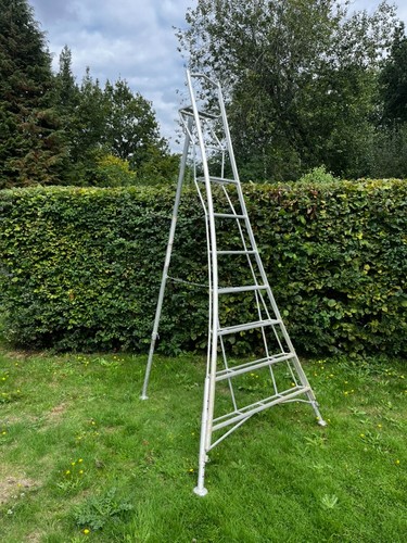 Henchman 10ft 3m - henchman,
