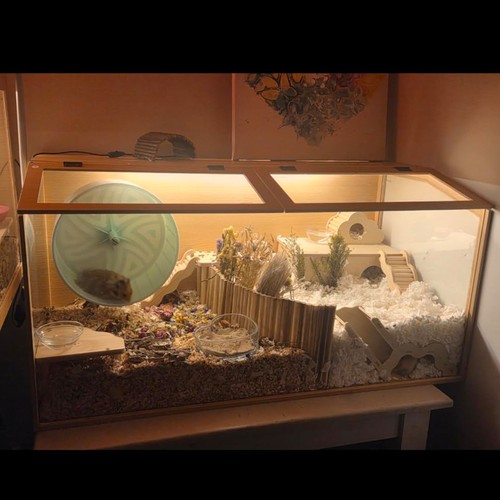 Large wooden hamster cage - large,