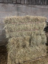 Excellent quality meadow hay