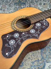 1 X  Acoustic guitar deluxe