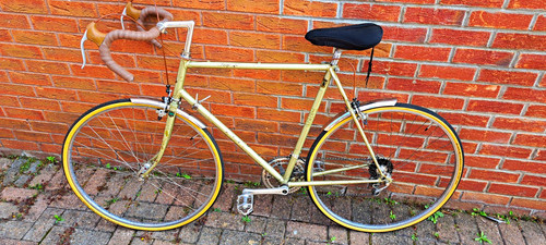Vintage raleigh record ace - vintage,