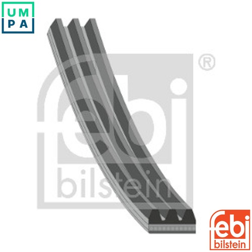 Vribbed belt 28753 for - 28753,
