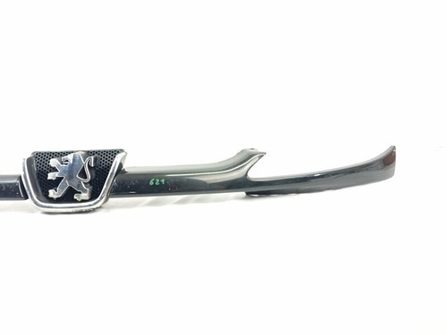 9628691277 front grille