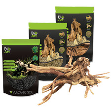 Bioart terrarium decoration - bioart,