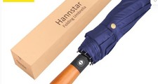 Hannstar Windproof Folding