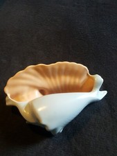 Retro Poole Pottery Two Tone Shell Posey Vase.