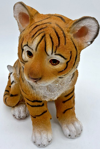 Playful tiger cub sitting - cub,