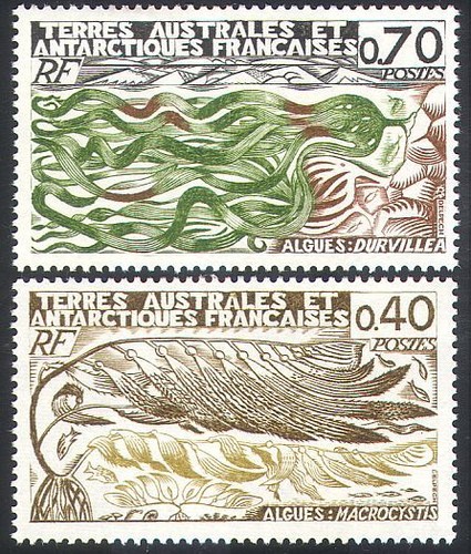 Fsat taaf 1977 - fsat/taaf,