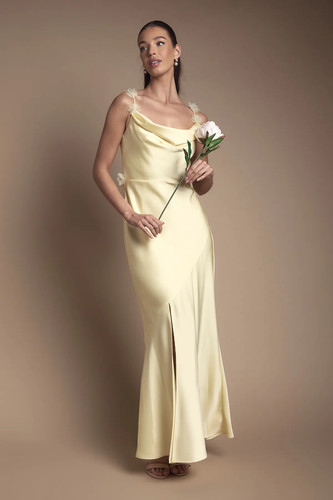 Coast lemon line - a-line, dress