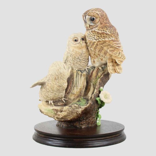 Tawny owl and - and, border