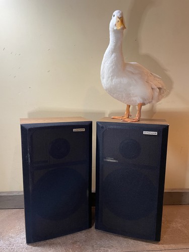 Pair retro pioneer g104a - pair, cs-g104a
