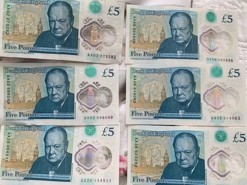 Five pound aa polymer - pound,