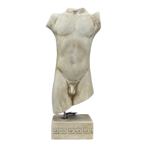 Nude male body torso - male,