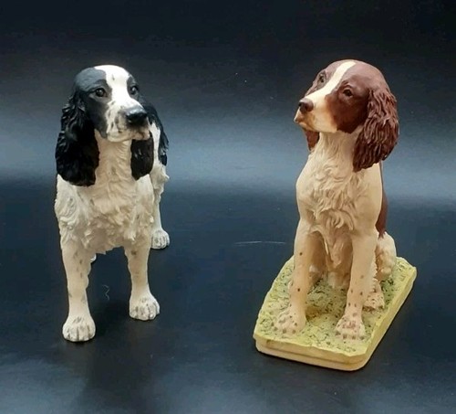 English springer spaniel - 2,