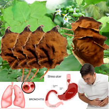 Dried Turkey Berry Leaves