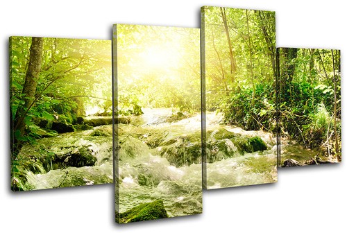 Forest stream landscapes multi - forest,