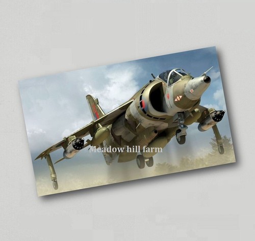 Fridge magnet raf harrier - fridge, jump
