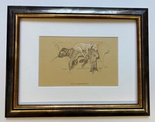 Agglomeration  *Framed Print* - Cecil Aldin