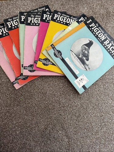 Vintage pigeon racing news - pigeon, &