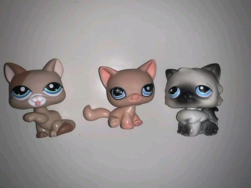 Littlest pet shop cat - shop,
