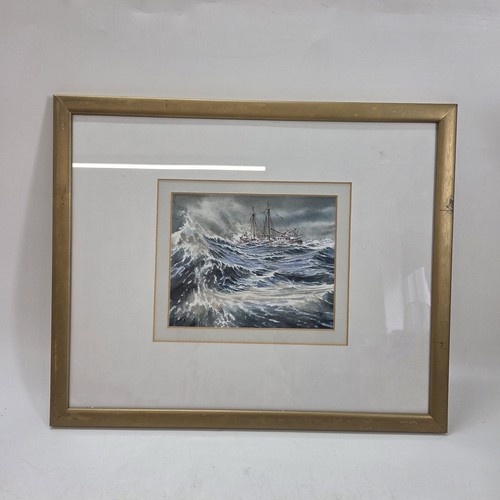 Fish marine watercolor - t,
