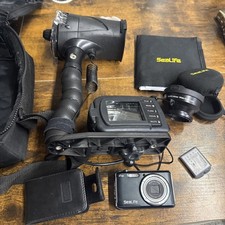 Sealife Sea Life Underwater