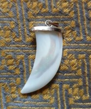 Shark, wolf Tooth Pendant 