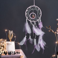 Beautiful Feather Dream