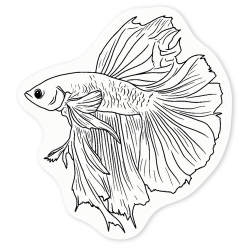 Siamese fighting fish - 'siamese, fish'