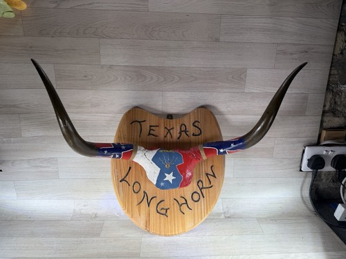 Hand made texas longhorn - hand,