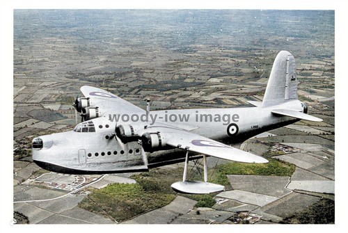 Ptc6097 yorks short - -,