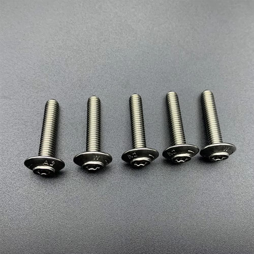 M5x25 torx stainless steel bmw - stainless,