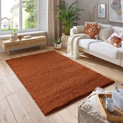 Living room kitchen rugs mat - room,